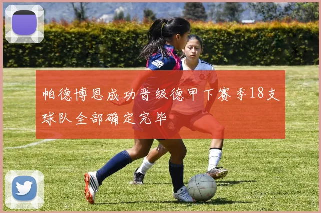 帕德博恩成功晋级德甲下赛季18支球队全部确定完毕