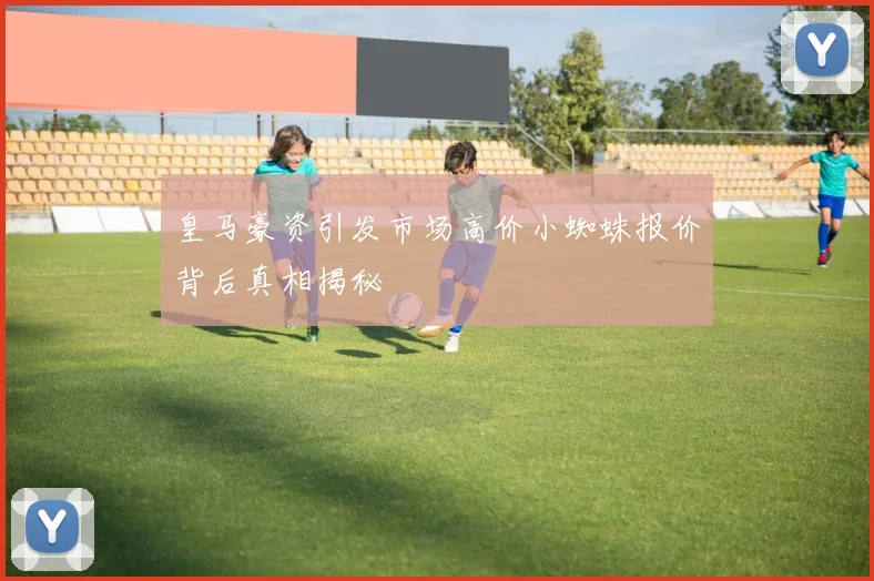 皇马豪资引发市场高价小蜘蛛报价背后真相揭秘