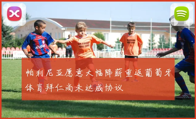 帕利尼亚愿意大幅降薪重返葡萄牙体育拜仁尚未达成协议